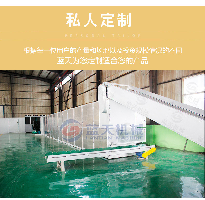 網帶球炭烘干機私人定制